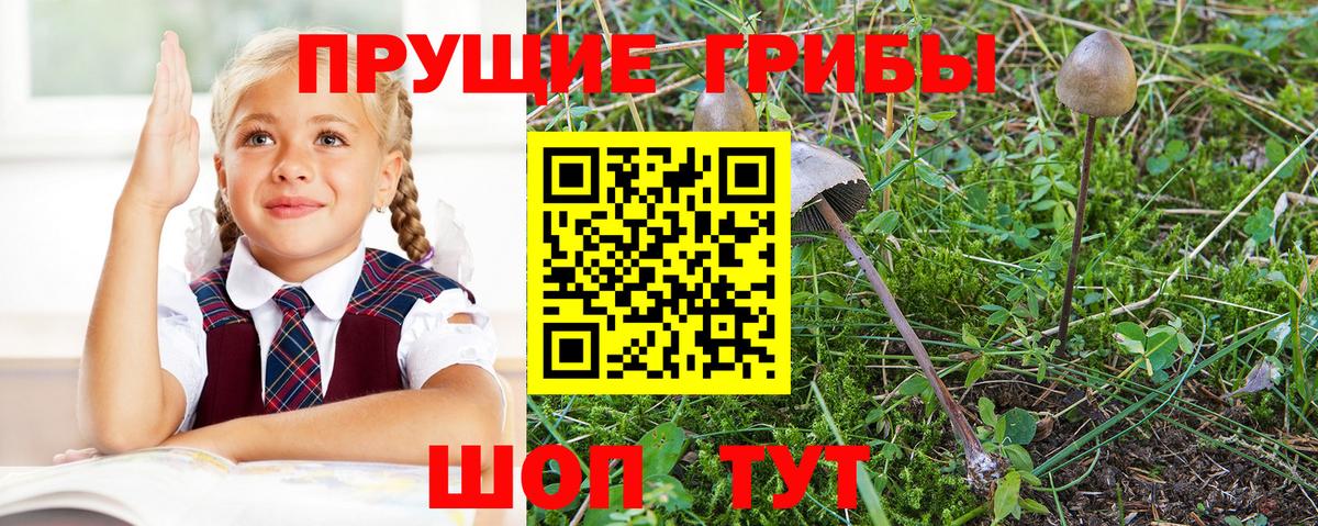 Галлюциногенные грибы Magic Shrooms Железноводск