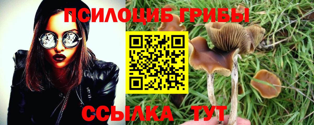 Железноводск  продажа наркотиков  Вход с VPN  Псилоцибиновые грибы мицелий 